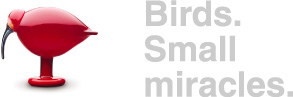 birds. Small miracles.